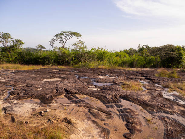 istock walkway bold old rock mountain with the water at Pha Taem National Park, Ubon Ratchathani, Thailand. 1312978892