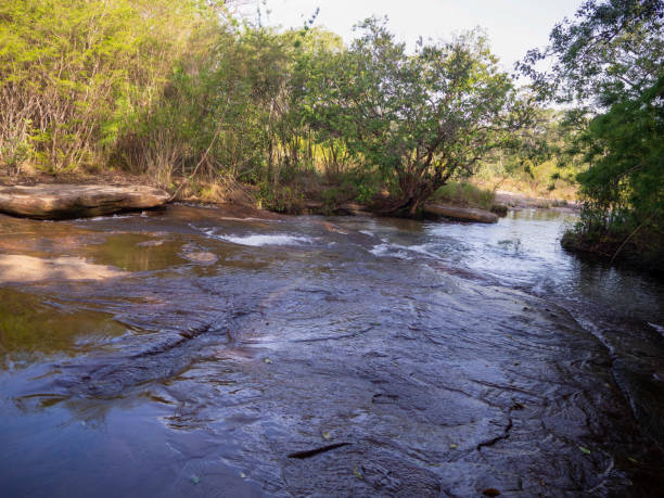 istock beautiful nature stream with trees at Pha Taem National Park, Ubon Ratchathani, Thailand. 1312979217