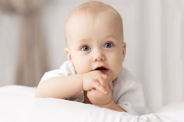 istock Portrait of a crawling baby 1312979316