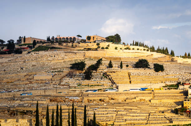 エルサレム、山の上のイスラエルの丘の中腹。オリーブの - 古代 ストックフォトと画像
