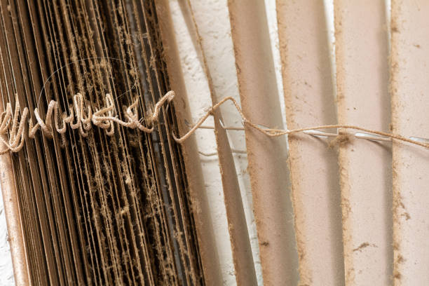 istock Dirty blinds. Dirt, dust, grease on the horizontal blinds. 1312979533