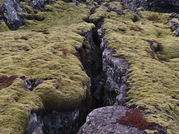vista de cerca de la fisura profunda en el campo rocoso de lava volcánica cubierto por musgo verde cerca de grindavik, península de reikiavik, islandia. - crevice fotografías e imágenes de stock