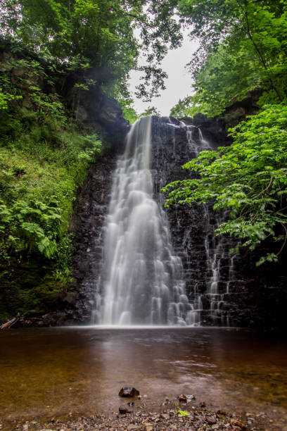 istock Large cascading waterfall tumbling into a peaceful pool. Falling foss waterfall, Yorkshire Dales 1312987602