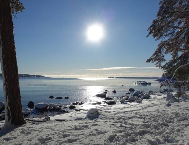 istock A sunny winter day by the sea in Scandinavia 1312990073