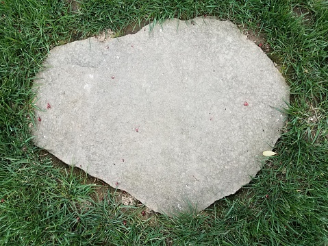 grey rock or stone stepping stone in green grass or lawn