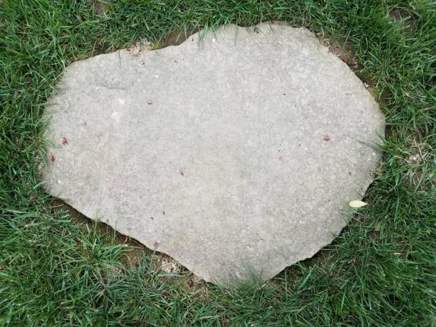 pedra cinza pisando em grama verde ou gramado - stepping stone stone stepping footpath - fotografias e filmes do acervo