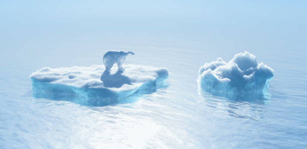 istock Polar bear on iceber. Global warming concept. This is a 3d render illustration . 1312993155