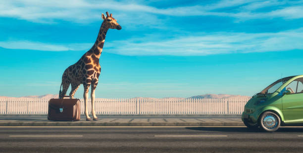Giraffe with baggage on highway . Travel and hitchhiking concept . This is a 3d render illustration .