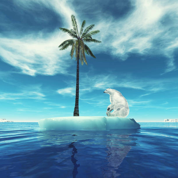istock Polar bear on iceberg looking at palm tree. This is a 3d render illustration. 1312993212