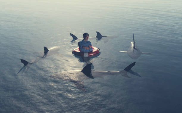 hombre rodeado de tiburones en el océano. esta es una ilustración de renderización 3d. - analyzing danger risk insurance fotografías e imágenes de stock