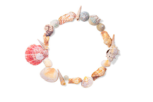 Round frame from seashells, mollusks and seashells on white isolated background. Sea background. Copy space