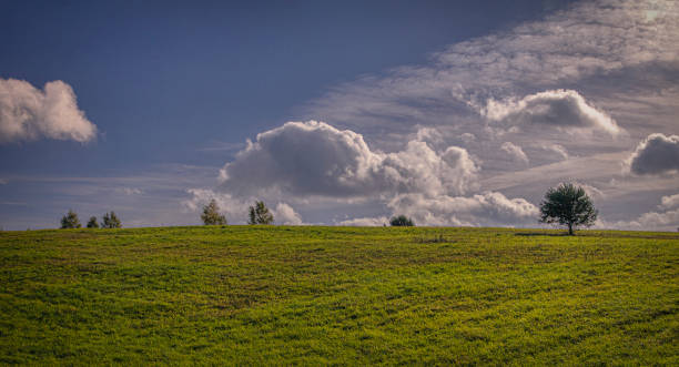 istock Small hill, green grass and beautiful sky 1312997578