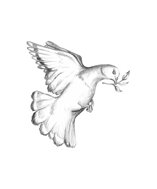 istock Illustration of a dove with a branch isolated on a white background. 1312997581