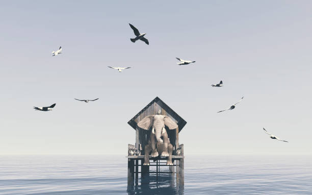 istock Elephant on a wooden deck and seagulls flying around . This is a 3d render illustration . 1313000087