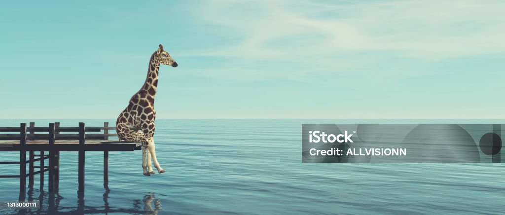Giraffe sitting on a wooden deck at the ocean . This is a 3d render illustration . Contemplation Stock Photo