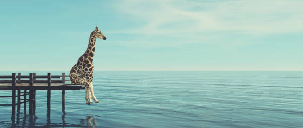 Giraffe sitting on a wooden deck at the ocean . This is a 3d render illustration . stock photo