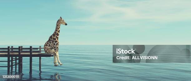 Giraffe Sitting On A Wooden Deck At The Ocean This Is A 3d Render Illustration Stock Photo - Download Image Now