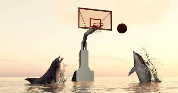 Photo of Dolphins playing basketball in the ocean . This is a 3d render illustration.
