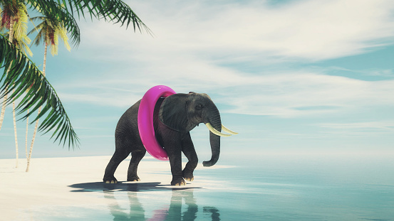 Elephant wearing a swim belt going to the ocean on tropical beach . This is a 3d render illustration .