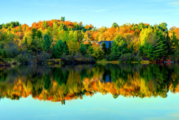 istock Autumn in the Adirondacks 1313004269