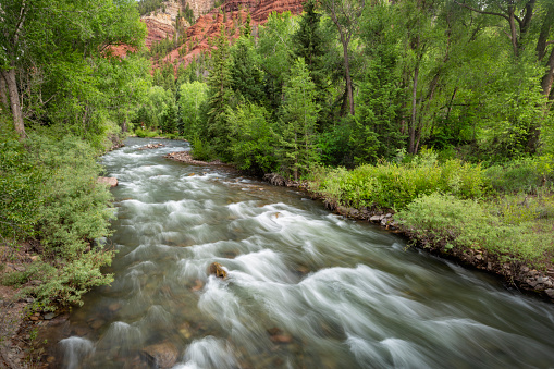 Colorado Springs, CO, USA - May 7, 2022: A notice for visitors