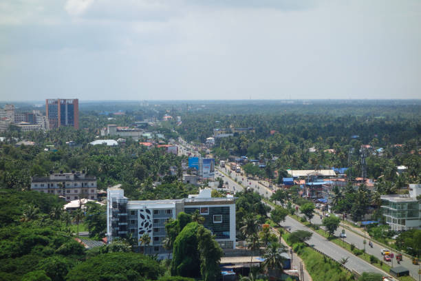 istock Aerial view of Kochi 1313009304