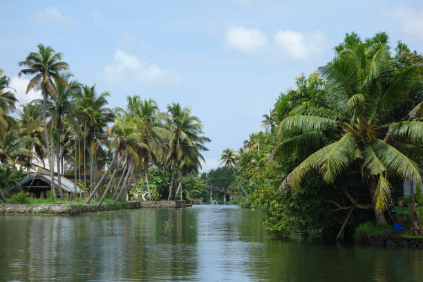 istock Backwaters network of brackish lagoons in Kerala 1313009377