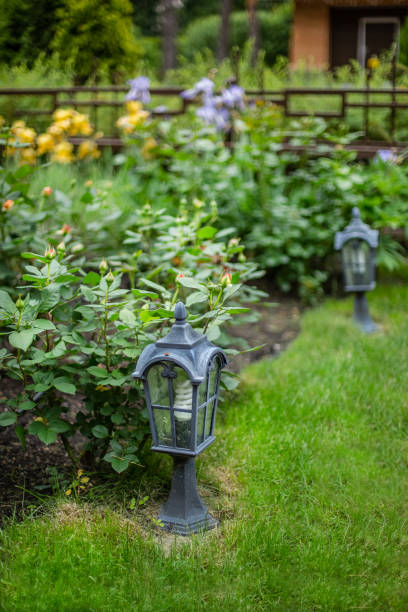 istock Garden lantern on green grass 1313009429