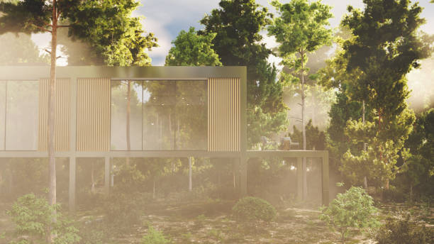 istock Small house hidden in the woods 1313010555