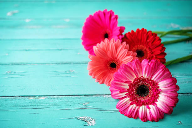istock Fresh flowers pink gerberas 1313010560