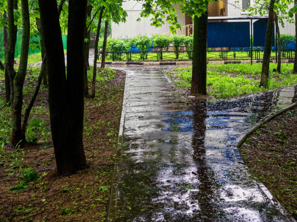 istock heavy rain and puddles in the park 1313012921