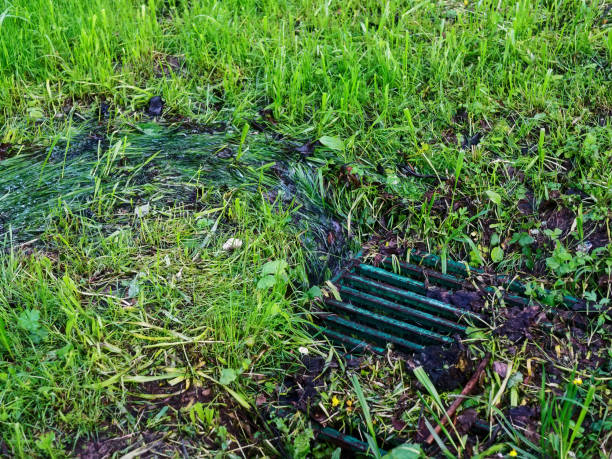 istock water flow in the park in the drain ditch 1313013663