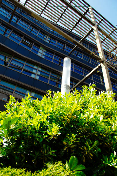 istock Office Building Reflecting in the Financial District 1313013888