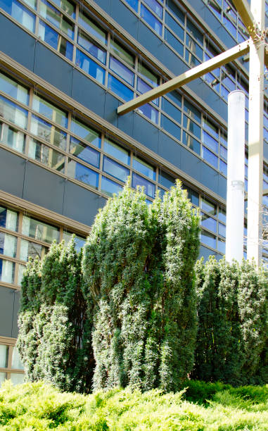 istock Office Building Reflecting in the Financial District 1313013890