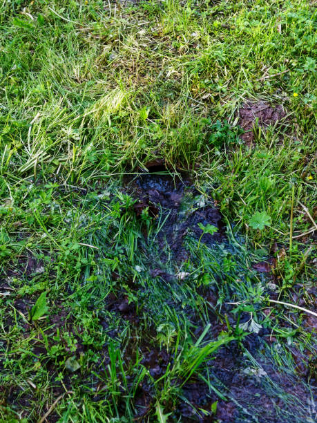 istock water flow in the park in the drain ditch 1313013988