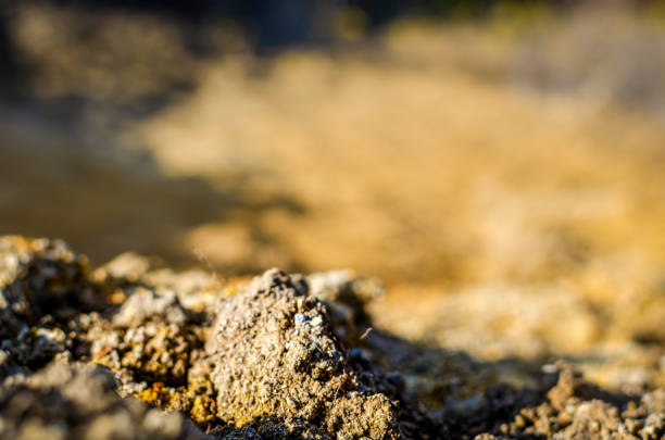 close up small lump of ground