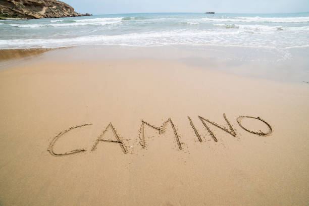 istock Words written on the sand on the beach 1313020536