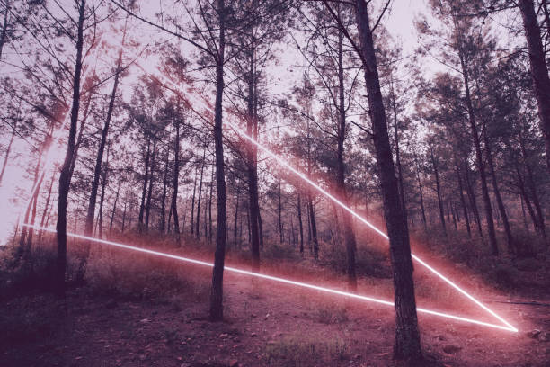 istock Stunning triangle shape made with neon light in the sunset forest 1313021723