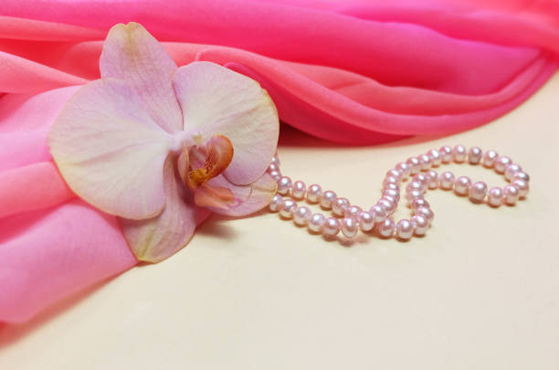 Pink and white orchid blooming on soft pink background, representing beauty and elegance
