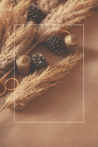 istock Decorative Branches Of Pampas Grass Set On The Floor 1313030824