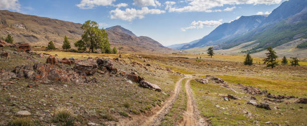 istock Country road in a mountain valley, summer day 1313044501
