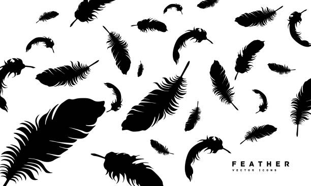 illustrations, cliparts, dessins animés et icônes de illustration de vecteur d’icône de silhouette de plume - plume