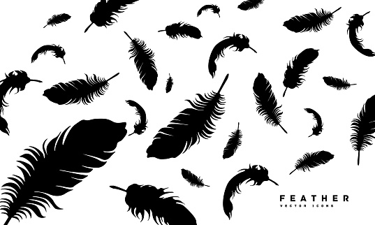 Feather silhouette icon vector illustration
