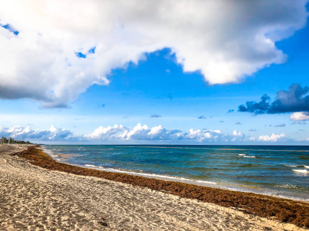 Beautiful day on Delray Beach, Florida stock photo