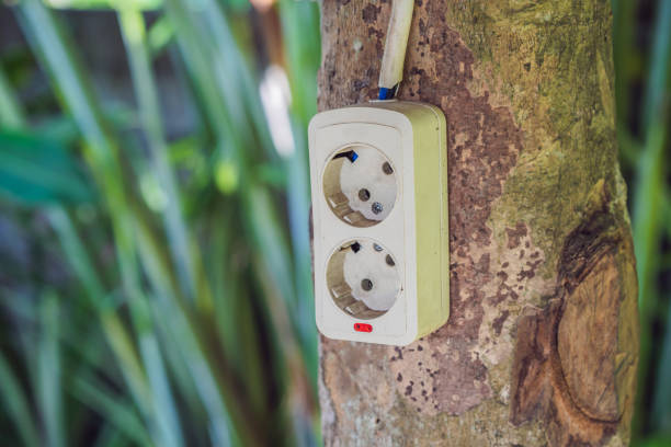 istock Green nature energy concept, electric socket on tree. Digital nomads concept 1313047502