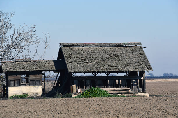istock A shot of an abandoned farm 1313052473