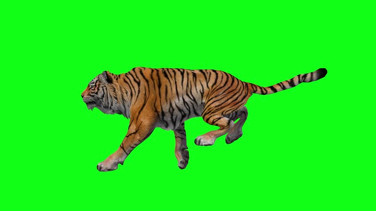 Renderização 3d do jovem tigre de desenho animado