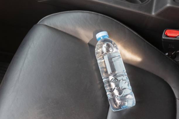 istock Drinking water in the car prepared for traveling 1313057776