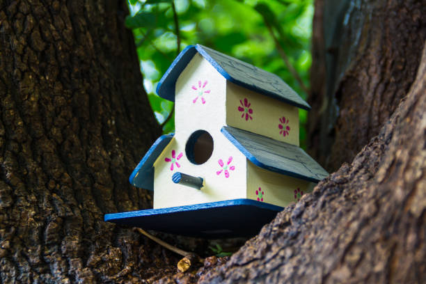 istock handmade houses for birds painted by hand on the tree trunk 1313057840