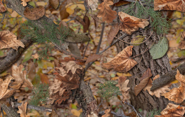 Realistic camouflage seamless pattern. Hunting camo for cloth, weapons or vechicles. Realistic camouflage seamless pattern. Hunting camo for cloth, weapons or vechicles. Autumn camouflage of fallen leaves camouflage clothing photos stock pictures, royalty-free photos & images